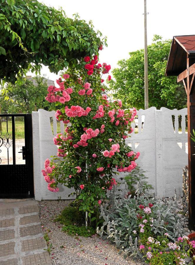 Guest House Medina Belogradchik Εξωτερικό φωτογραφία