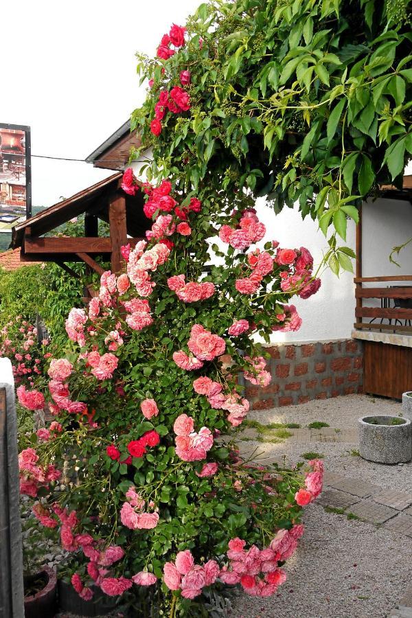 Guest House Medina Belogradchik Εξωτερικό φωτογραφία