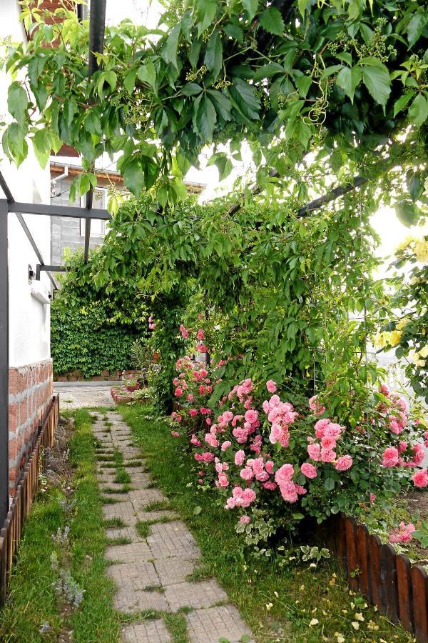 Guest House Medina Belogradchik Εξωτερικό φωτογραφία