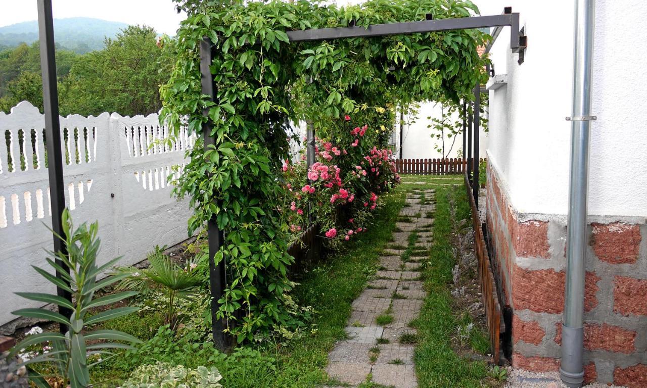 Guest House Medina Belogradchik Εξωτερικό φωτογραφία