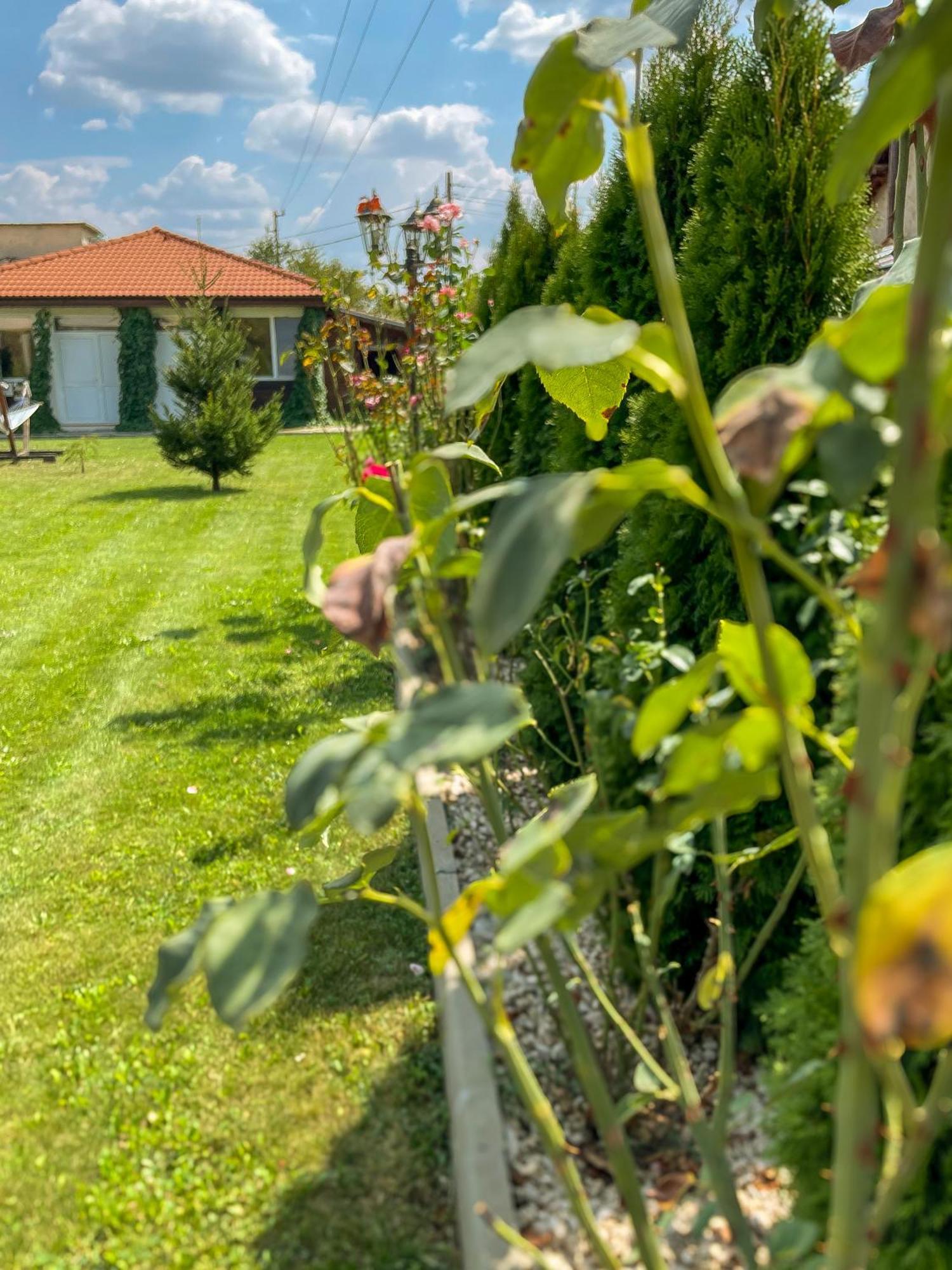 Guest House Medina Belogradchik Εξωτερικό φωτογραφία